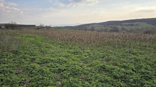 Haskovo, s. Georgi Dobrevo, Zum Verkauf