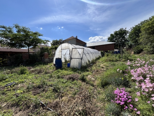 A rural house with a large yard is for sale in the village of Levka, Haskovo region.