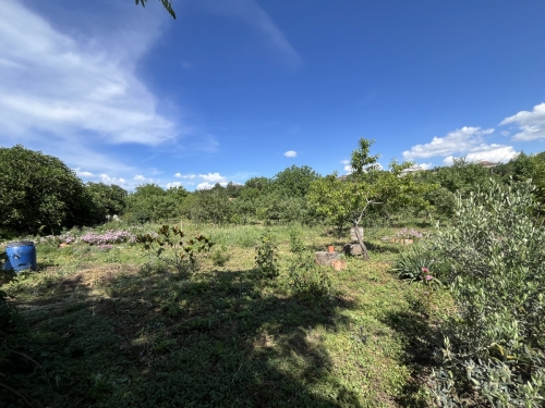 A rural house with a large yard is for sale in the village of Levka, Haskovo region.