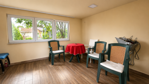 Geniş döşenmiş bahçeli ve garajlı ev - 260 m², taşınmaya hazır