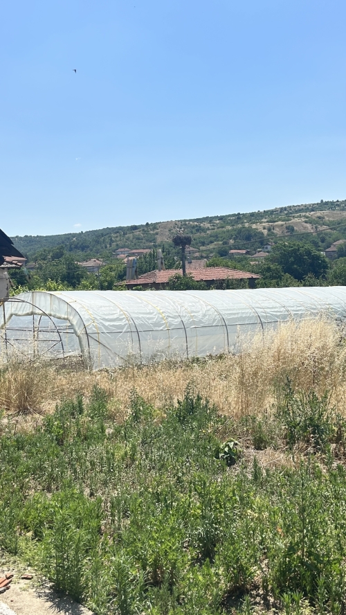 Geniş tamamlanmış 6 odalı ev ve büyük bahçe, Bulgarin köyü, Haskovo